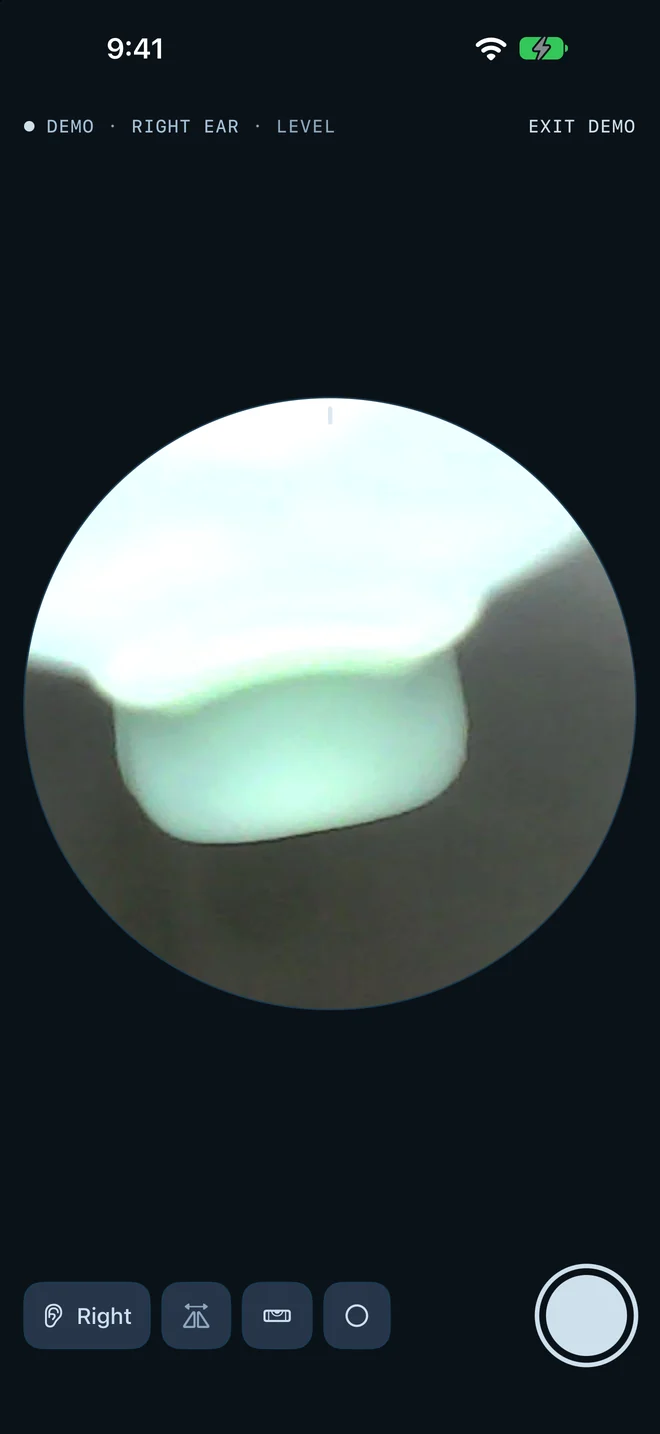 Spade Cam on iPhone showing the round view in the demo, right ear, level lock on